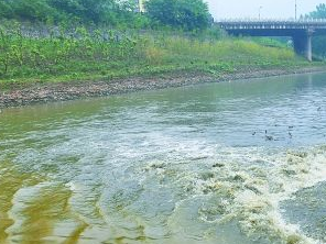 保定望都污水清运多少钱